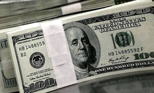 Dólar oficial operó estable a $ 8,01. Blue sube a $ 10,55