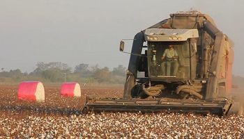 Con desarrollo público privado, se presentó la cosechadora de algodón autopropulsada fabricada en Argentina