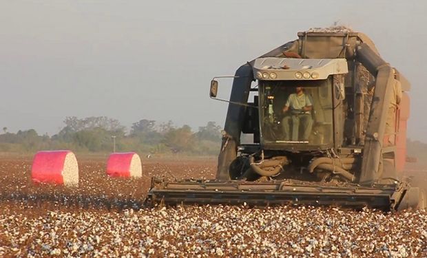 Con desarrollo público privado, se presentó la cosechadora de algodón autopropulsada fabricada en Argentina