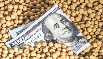 Soja y maíz: los factores detrás de la volatilidad de los mercados agrícolas