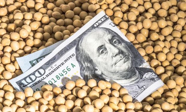 Soja y maíz: los factores detrás de la volatilidad de los mercados agrícolas