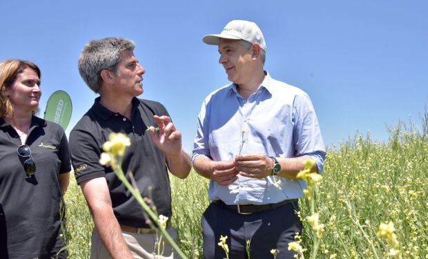 Casi el 73% de los productores cree que la presión impositiva aumentará luego de las elecciones