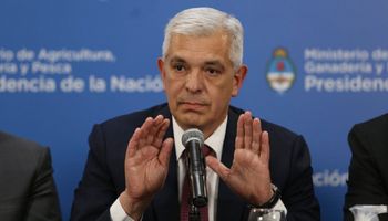 Maíz, trigo y carne: el Gobierno prepara el plan 2022/23 y anunció un encuentro con el sector