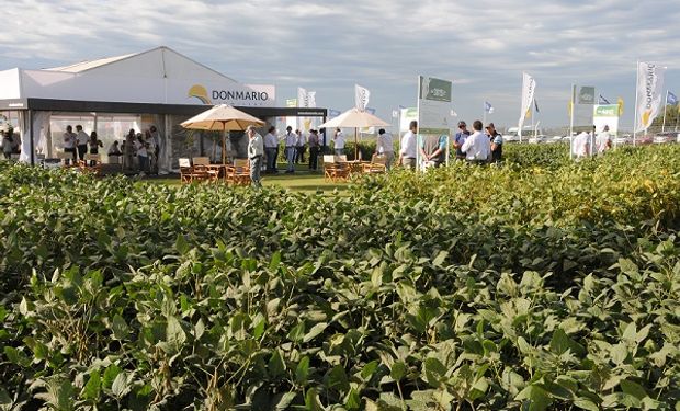 Los visitantes al plot de Don Mario en Expoagro podrán testear en vivo los beneficios y bondades de este nuevo desarrollo de la compañía.