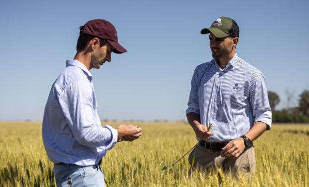 Trigo: el encuentro que mostrará las claves para llevar la productividad al próximo nivel