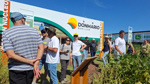 donmario semillas en expoagro 2026