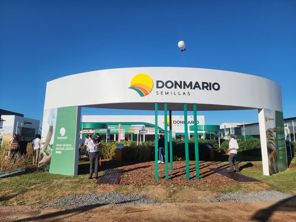 donmario semillas trigo