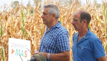 Con fuerta apuesta al maíz, las nuevas tecnologías de DONMARIO Semillas: “Hay un proyecto muy grande de la compañía"
