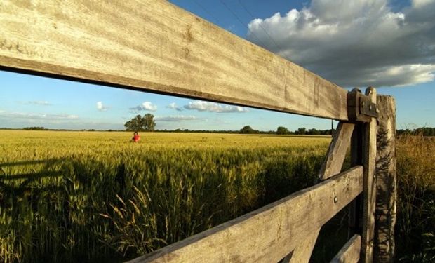 Pronóstico del tiempo para el campo: ¿En qué zonas y cuándo podrían volver las lluvias?