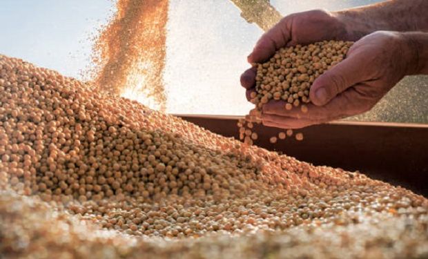 Soja, trigo y maíz: cuánto se pagó por los granos tras la devaluación