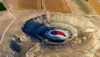 El grave riesgo que enfrentan más de 170 millones de hectáreas de cultivos en el mundo