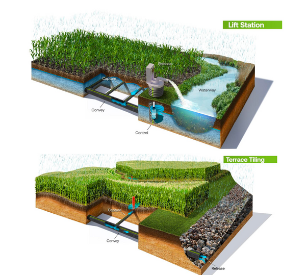 campo argentina denado