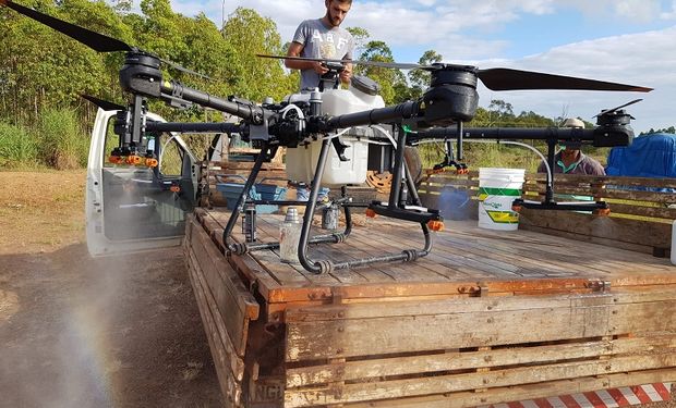 Drone jogar veneno em pastagem