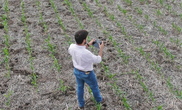 Una megaempresa agropecuaria cuenta plantas desde el aire para ahorrar insumos: cómo lo hacen