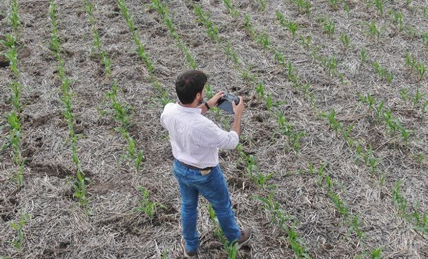 La empresa de agro líder que relevó 26 mil hectáreas con drones para controlar stand de plantas y decidir mejor