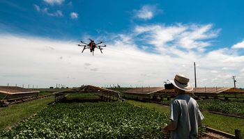 Pulverização por drones será destaque em dia de campo da Embrapa