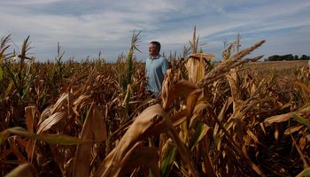 Ingresó un nuevo proyecto para bajar las retenciones al agro: lo presentó Luciano Laspina, economista y diputado del PRO