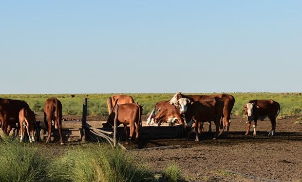 Declaran la emergencia agropecuaria en Entre Ríos y Catamarca