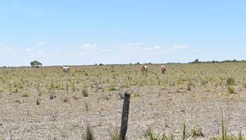 Santa Fe: piden que la emergencia agropecuaria por sequía se extienda hasta marzo de 2024