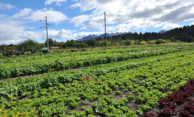 Economías regionales: aumentó la brecha de precios entre el consumidor y el productor a por la sequía