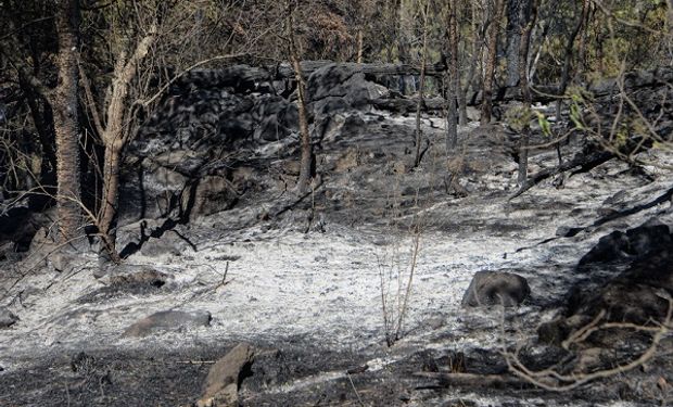 Incendios en Córdoba: la provincia analiza daños y asiste a los productores afectados 