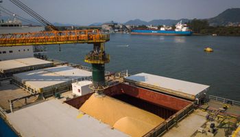 Estudo vai mapear desafios do produtor na hora de exportar