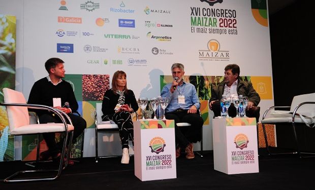 Revolución del maíz: tres emprendimientos que lograron convertir al cultivo en carne y energía