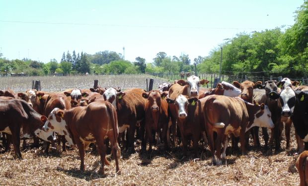 Menores precios ante una oferta reducida