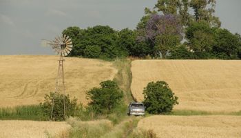 El mercado inmobiliario rural sigue por debajo de "niveles aceptables"