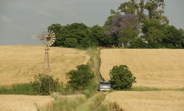 Es el índice número 65 de la historia de CAIR, que busca reflejar la actividad del mercado inmobiliario rural en toda la República Argentina.