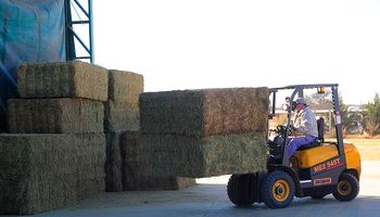 Qatar recibió la primera carga de alfalfa enviada desde San Luis y planean otro envío de 15 mil toneladas
