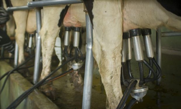 Cae la participación del productor lácteo en el valor final del mercado interno, mientras que mejora en la exportación