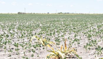¿Sigue La Niña? Estas son las lluvias esperadas en las próximas semanas