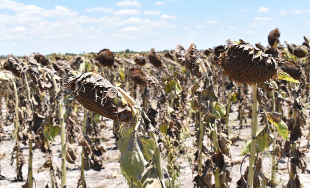 Desde cuándo La Niña podría alterar el clima global, según advierte la OMM