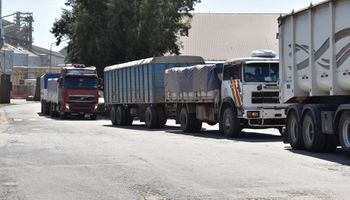 La logística de los granos a los puertos será clave: por qué marcaría el rumbo de los precios