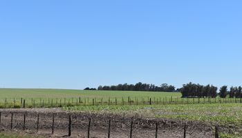 El mercado inmobiliario rural está expectante de la reforma impositiva y laboral