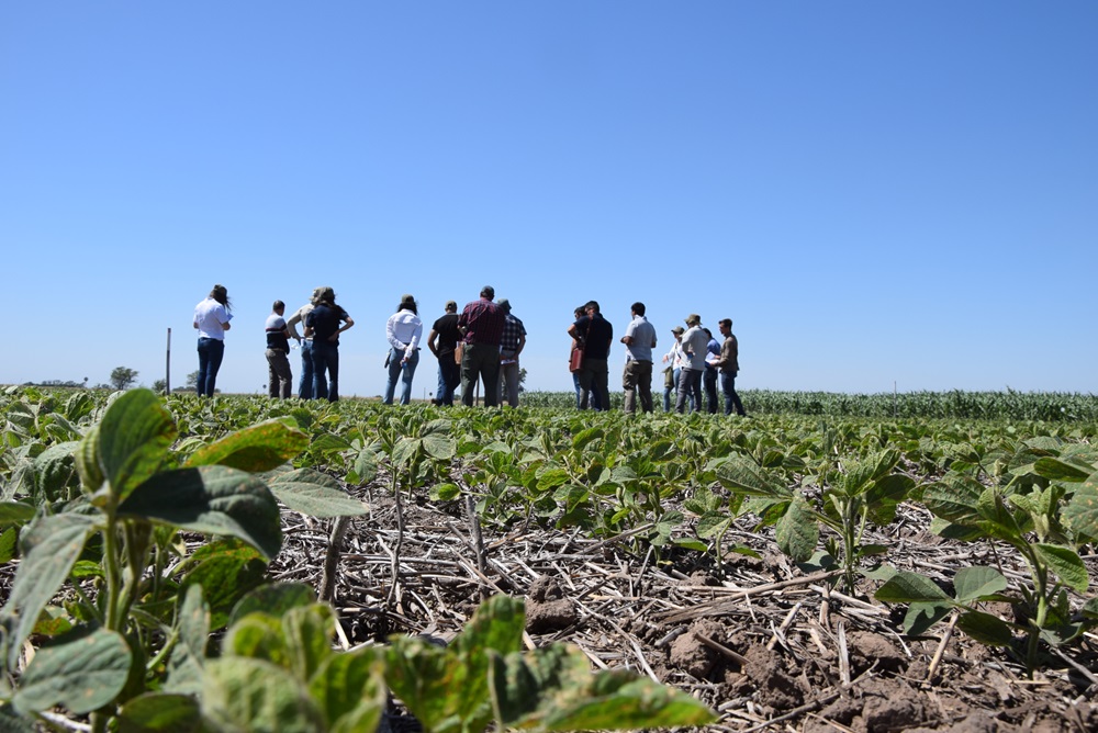 noticiaspuertosantacruz.com.ar - Imagen extraida de: https://news.agrofy.com.ar/noticia/211657/soja-maiz-y-trigo-nuevos-insumos-que-se-acercan-agro-y-productos-estrella-mayores