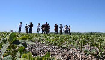 Soja, maíz y trigo: los nuevos insumos que se acercan al agro y los productos estrella de una de las mayores empresas agrícolas del mundo