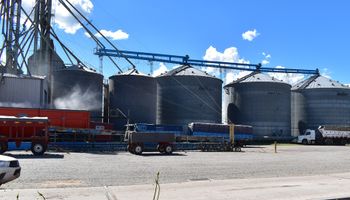 Se esperan cerca de 55 millones de toneladas de soja