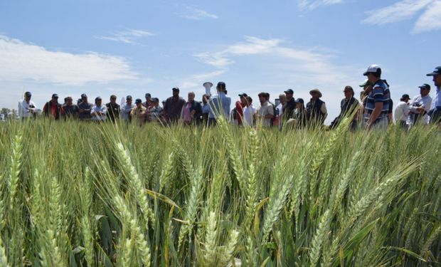 "Como empresa no podemos prolongar el tema", destacan desde Bioceres, que ya presentó el evento en países de la región.