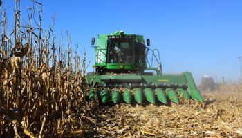 Las menciones al campo de la cuarta revisión del FMI a la Argentina