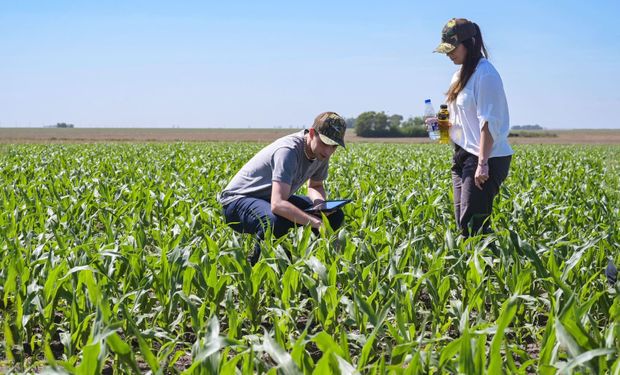 Algo está cambiando y motiva a los jóvenes a proyectar su vida junto al campo: el programa inédito que fomenta el arraigo rural
