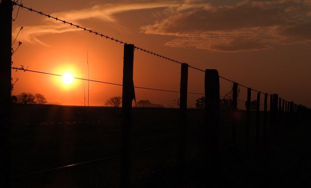 La coyuntura agropecuaria de noviembre de 2018.