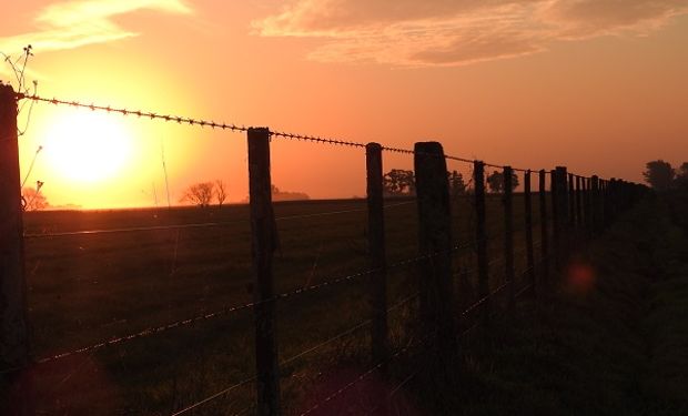 Inicio del año positivo en el sector inmobiliario rural.