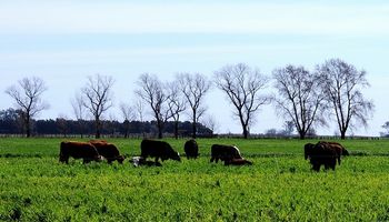 La necesidad de integrar la agricultura con la ganadería