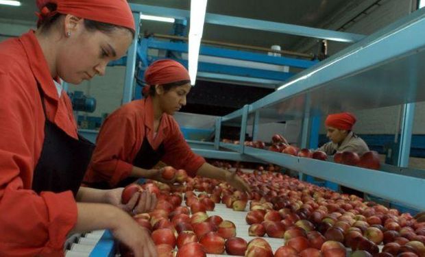 La producción frutícola atraviesa una grave crisis a nivel nacional.