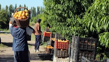 Buenos Aires busca abrir nuevos mercados frutihortícolas en Brasil