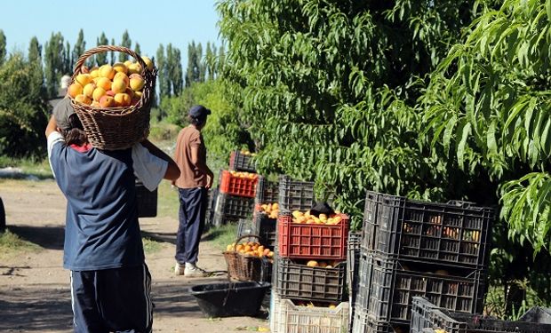 Buenos Aires busca abrir nuevos mercados frutihortícolas en Brasil