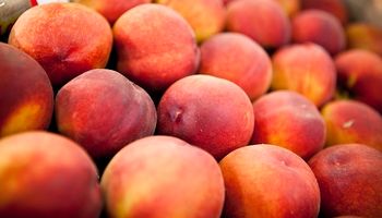 En el 2018 crecieron las exportaciones de alimentos de economías regionales