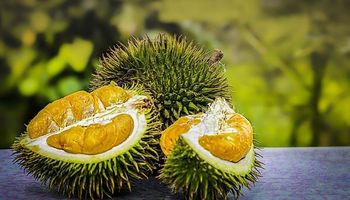 Incluyen en el Código Alimentario al durian, la “fruta más apestosa del mundo”